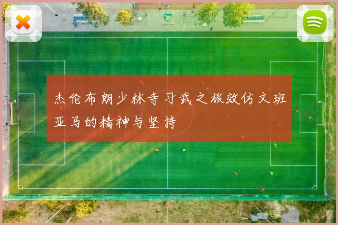 杰伦布朗少林寺习武之旅效仿文班亚马的精神与坚持